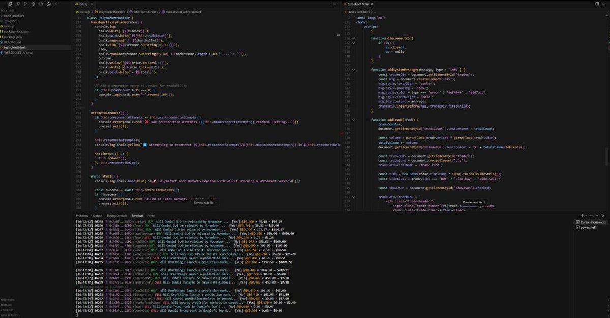 Kolana 🐨 tweet media