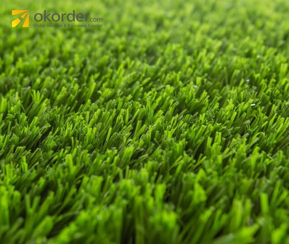 okorder's tweet image. #Okorder - Artificial Grass

Designed for versatility and low maintenance, it’s perfect for both residential and commercial spaces — offering year-round greenery without watering, mowing, or mud.

Buy Now: okorder.com/lp/artificial-…

#BuildingMaterials #LowMaintenance #Durability