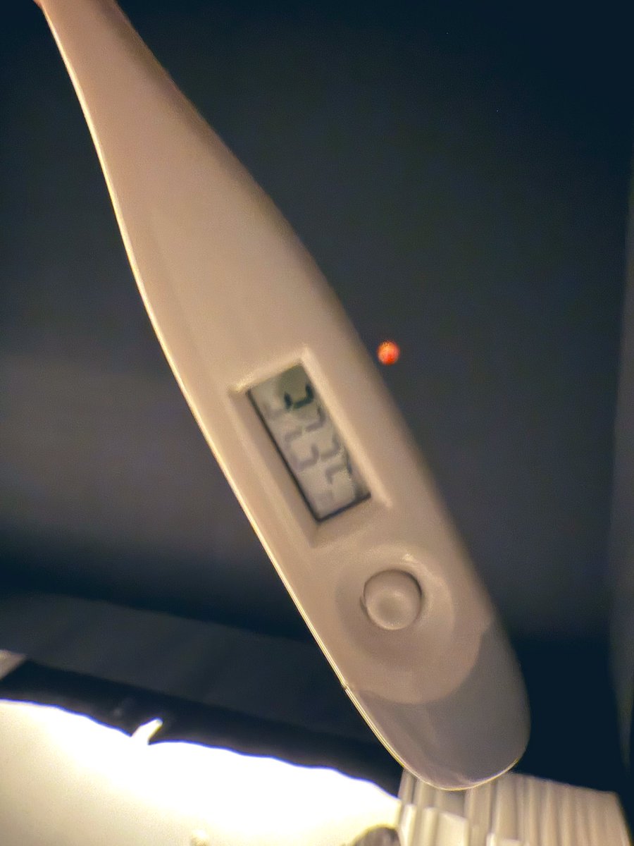 な、なんて高熱なんだ....
何かを休む何ひとつの理由にならないほどの高熱だ....