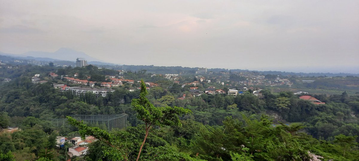 アハマド・ユスマニー tweet media