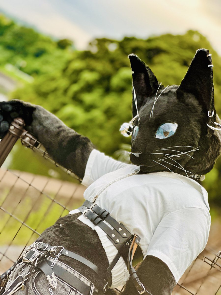 Autumn colors
 #FursuitEveryday 

📸 #RIHAKU_etc