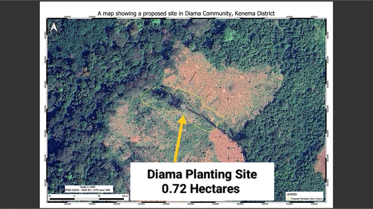 SLEM_SL's tweet photo. Our restoration efforts continue this time in Diama. It focuses on a section of their forest, a crucial watershed that has suffered severe deforestation and now threatens local water security. Together with the community we planted 600 trees on day 1, with another 1,500 to go. https://t.co/9nWKNzi9rz
