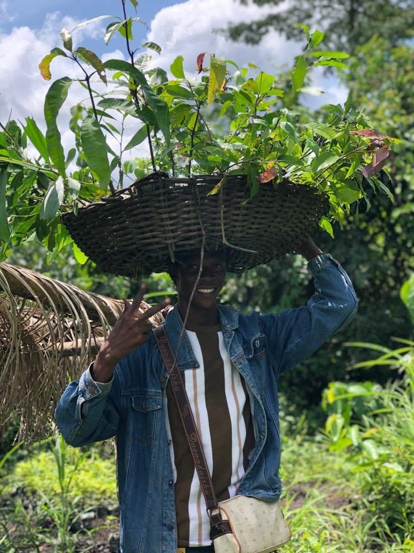 SLEM_SL's tweet photo. Our restoration efforts continue this time in Diama. It focuses on a section of their forest, a crucial watershed that has suffered severe deforestation and now threatens local water security. Together with the community we planted 600 trees on day 1, with another 1,500 to go. https://t.co/9nWKNzi9rz