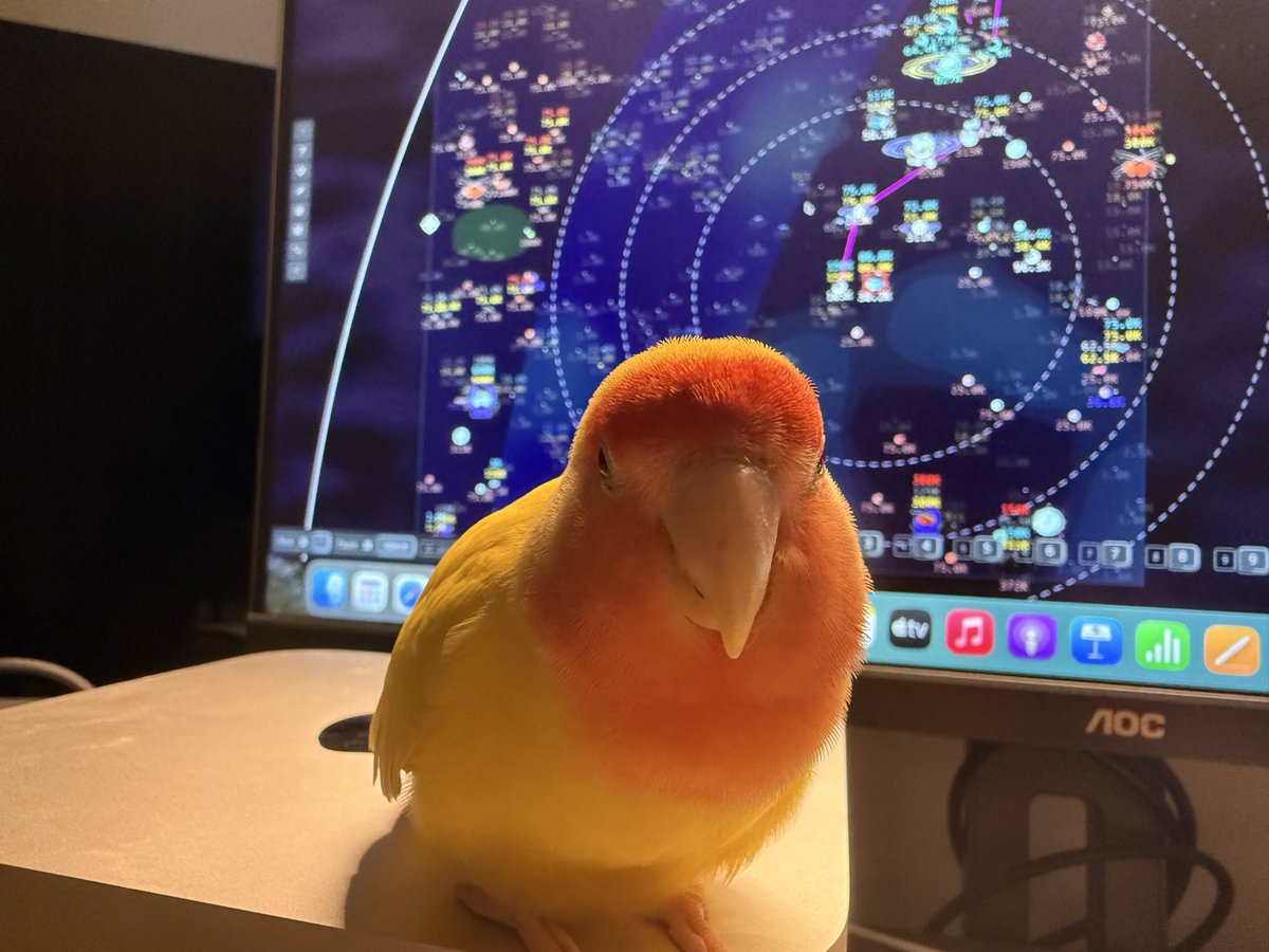 Tweet media one