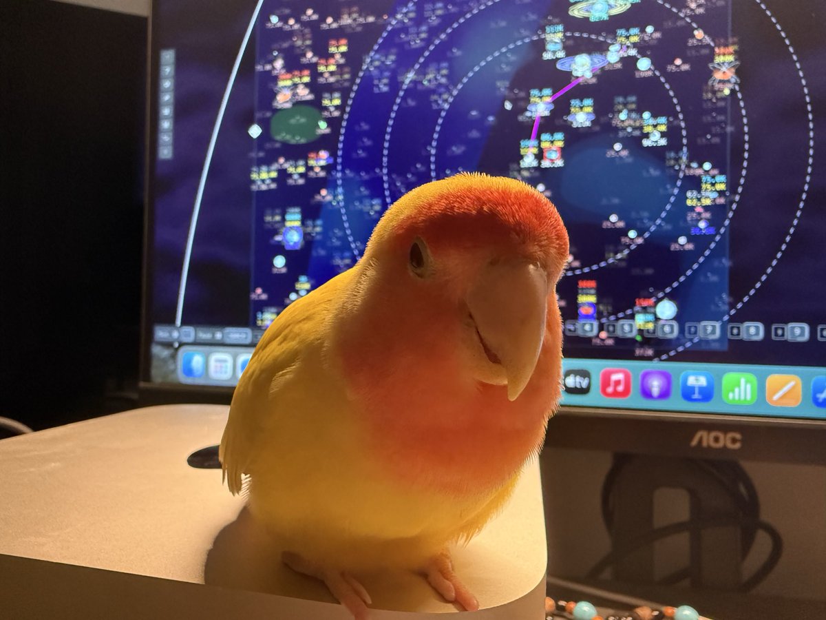 Tweet media one