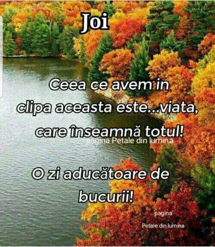 O după-amiază frumoasă și liniștită vă doresc tuturor alături de cei dragi vouă!🍂🙏🍂