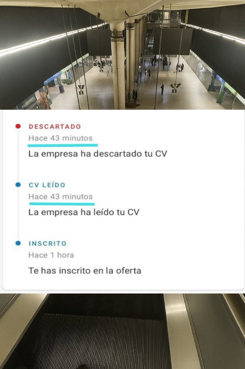 como un traductor ve el mundo