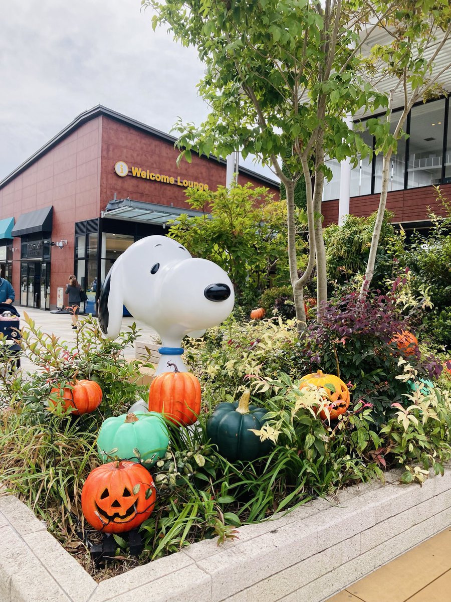 kazu 🐸🦖⸒⸒🐤 (@LrO1FnYsb88YboI) / Posts / X