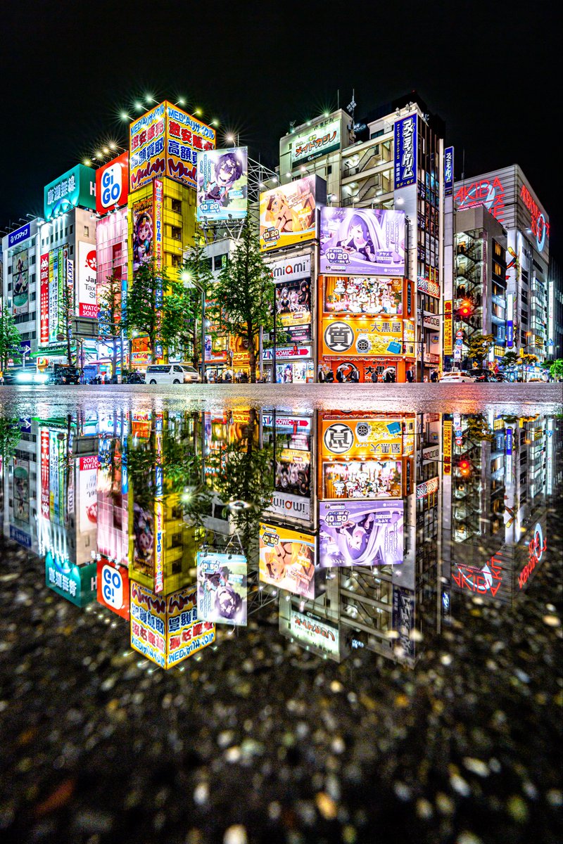 ワカル (@wakaru9922) / Posts / X