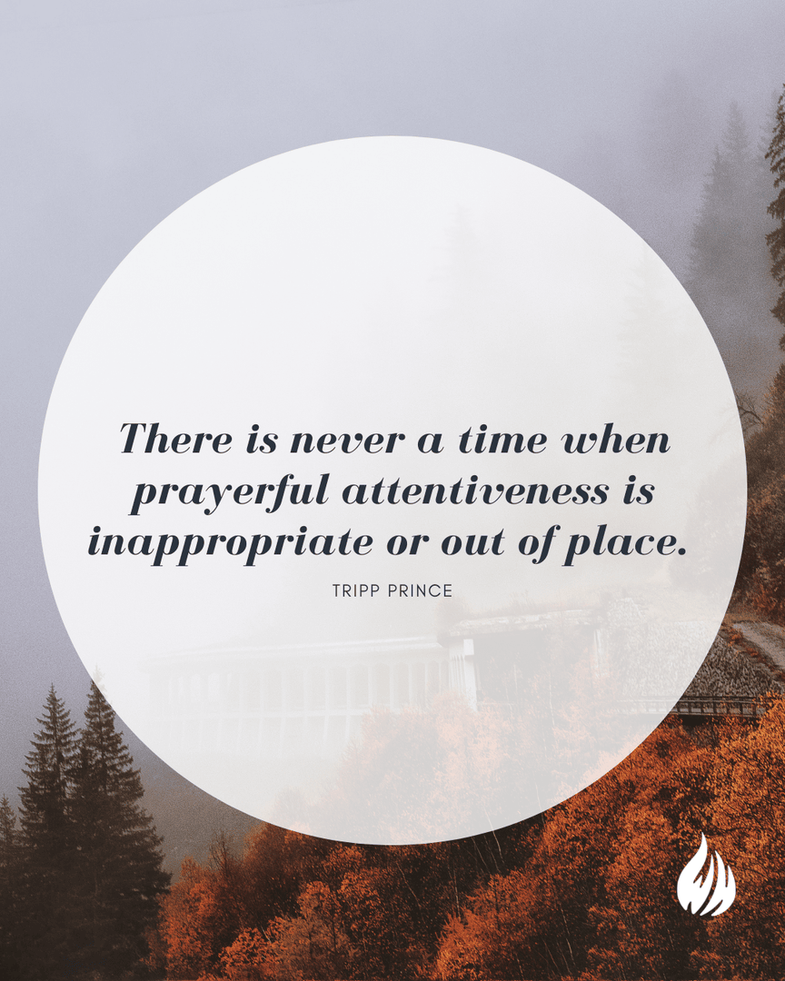 WisdomHunters's tweet photo. Normal Christianity
By Tripp Prince

Continue reading on our website – https://t.co/OpBGZkLgtu 

#wisdomhunters #prayer #Ephesians6 #presence #everydayfaith #attentiveness https://t.co/AfUK3feDtJ
