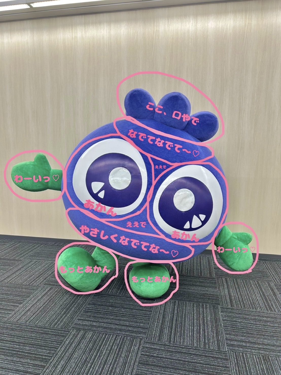 みぃちゃんさま確認ページ♡ みぃちゃんさま確認ページ♡ 〇 みぃちゃん♡♡