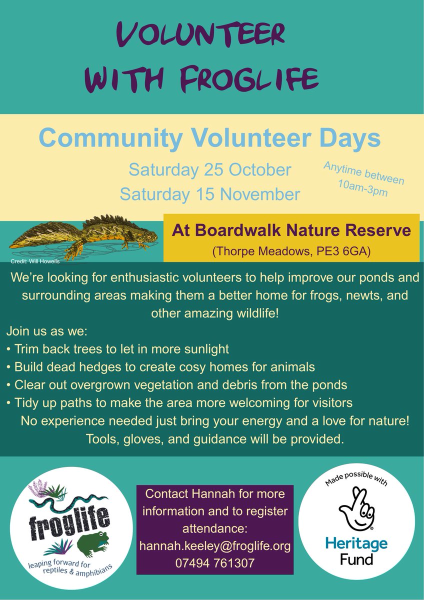 Froglife tweet media