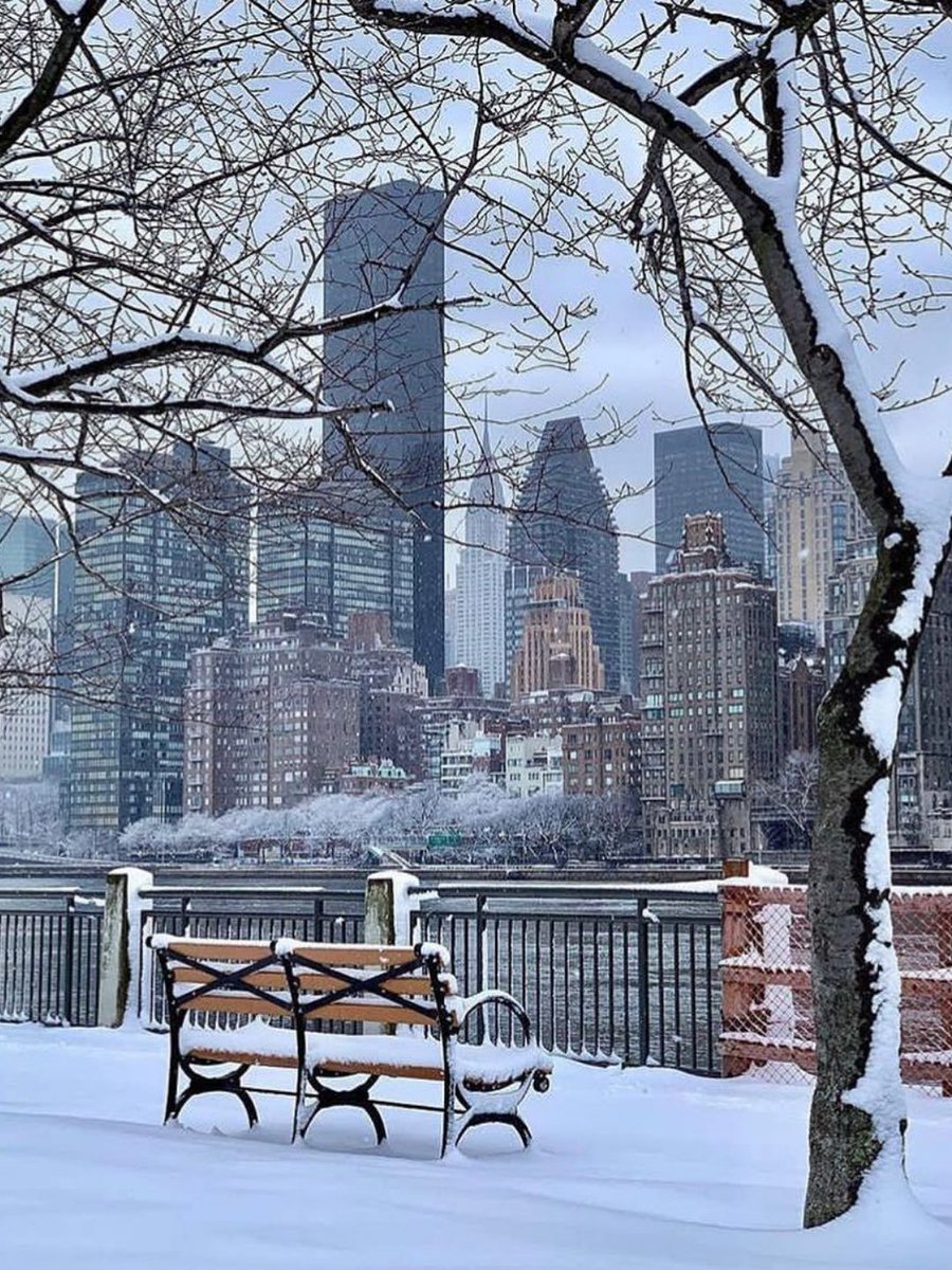 winter in nyc