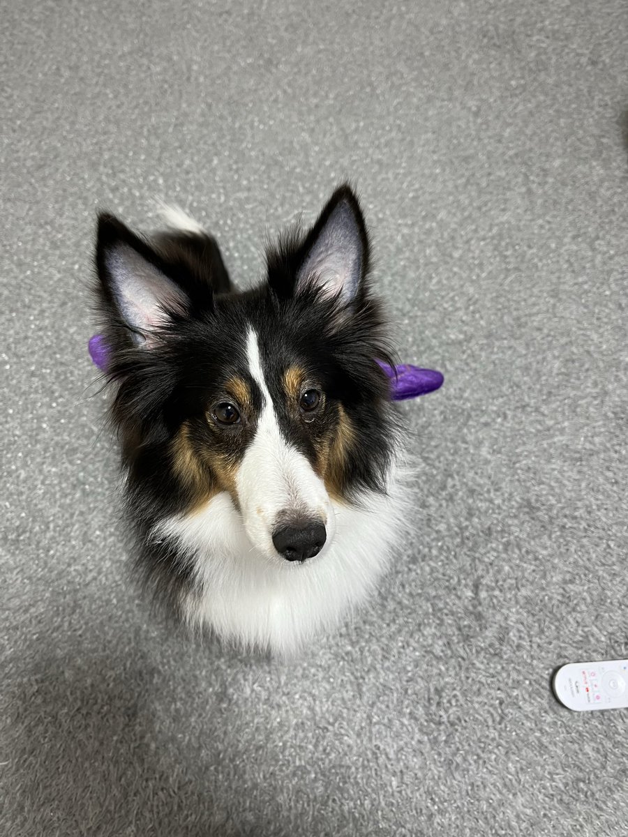 ERG YKG RacingProject tweet media