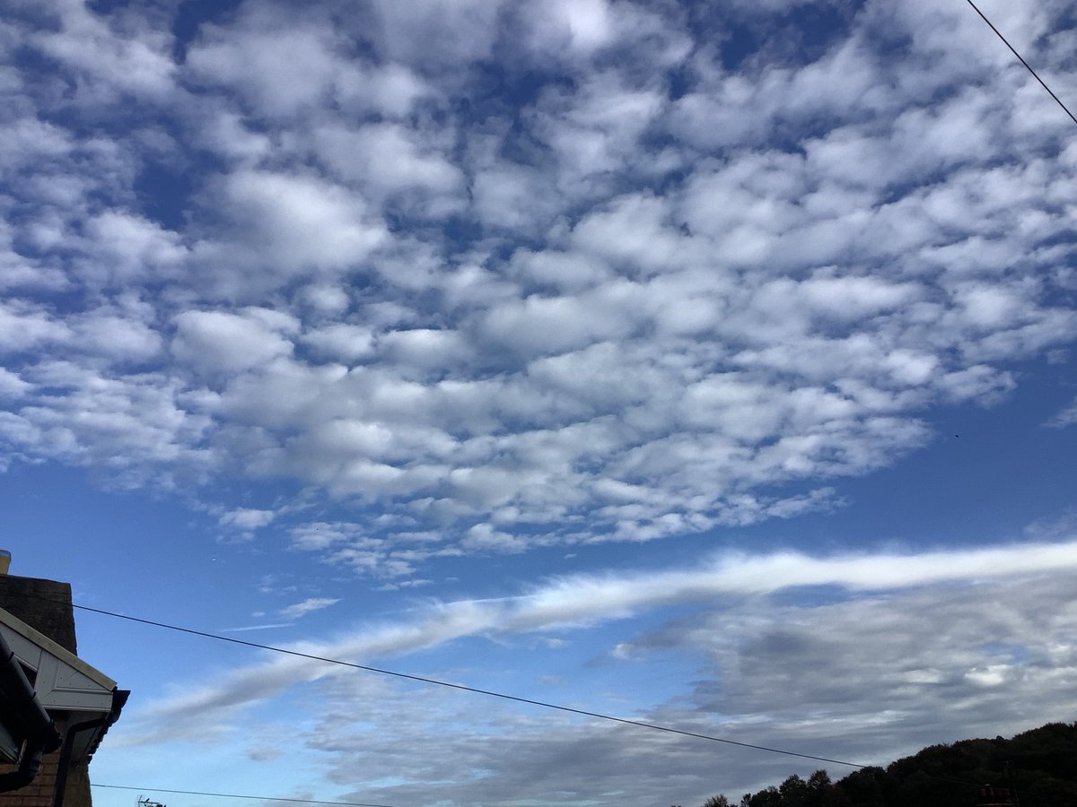 Jayne Jones tweet media