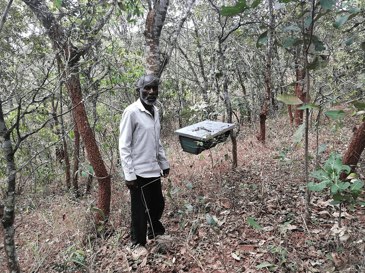Malawi Environmental Endowment Trust tweet media