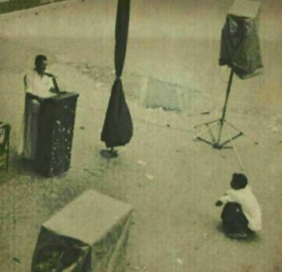 presidentAli13's tweet image. وقتی فالوورات پایینه و توییت میزنی: