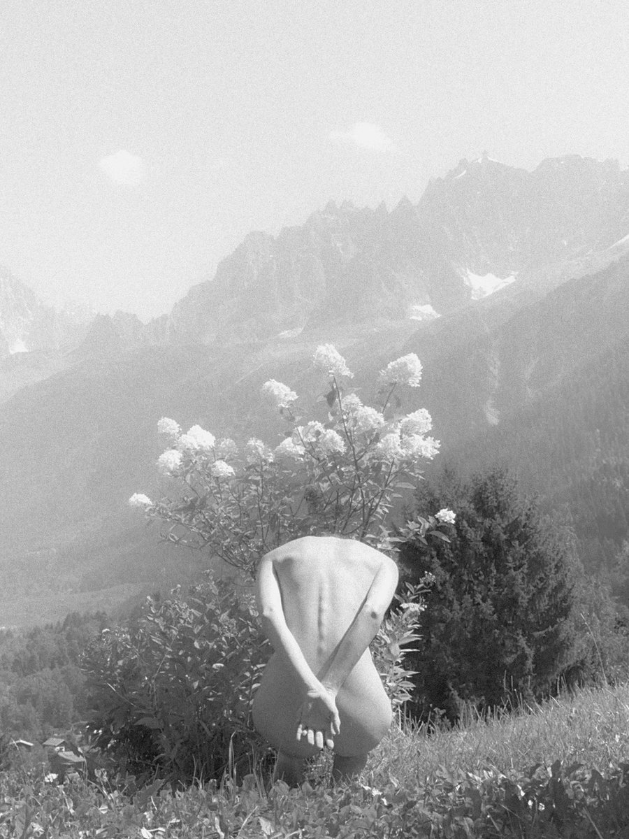 Maria Kinosian I SR 💎 tweet media