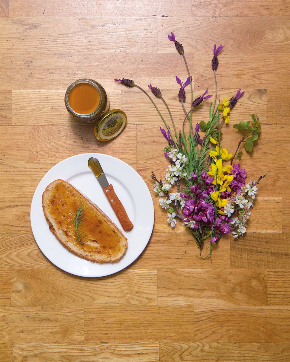 MielVilluercas's tweet image. 🐝 ¿Sabes cuántos tipos de mieles se envasan bajo la contraetiqueta de la #DOP #Miel Villuercas Ibores?

🍯 Monofloral de castaño
🍯 Monofloral de retama
🍯 Milflores
🍯 Mielada

😍 Disfruta de los matices y aprovecha todos los beneficios de este producto natural de #Extremadura.