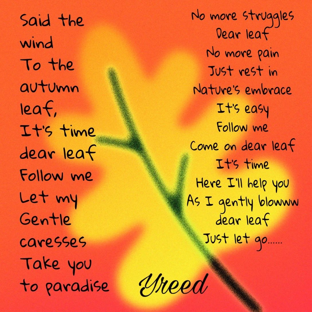 Yvonne Reed tweet media