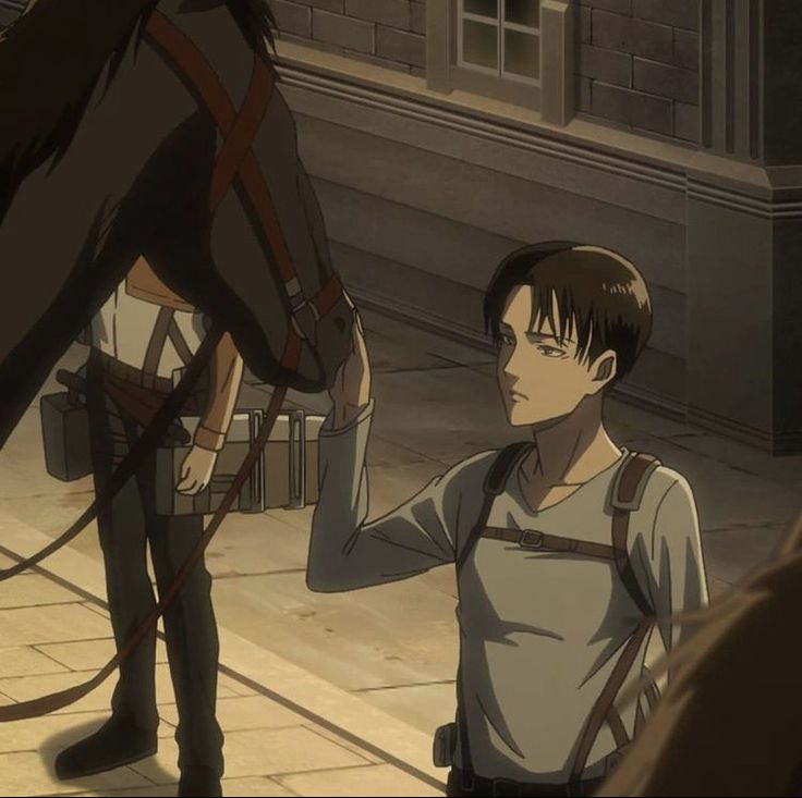 Levi Ackerman tweet media