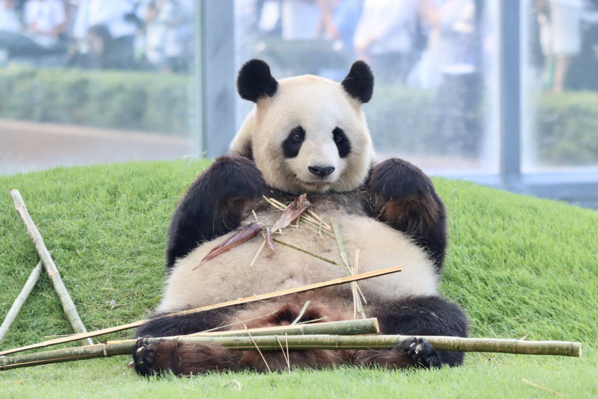 ひー (@heepan219) / Posts / X