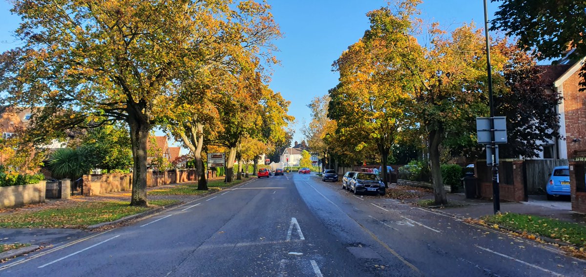 Road safety is important at all times of year, but we need to be extra careful as the nights grow longer and darker.

Street trees have been found to calm traffic, making drivers safer and more vigilant. Planting more street trees may be the road safety solution we need in our