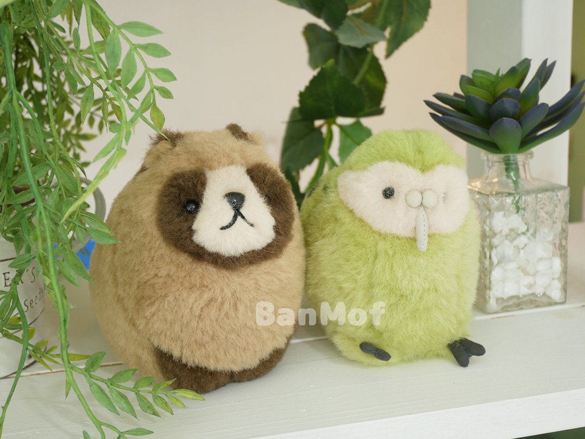 ばんばぱえりあ＠新著『ことりのぬいぐるみ』 (@banmof) / Posts / X