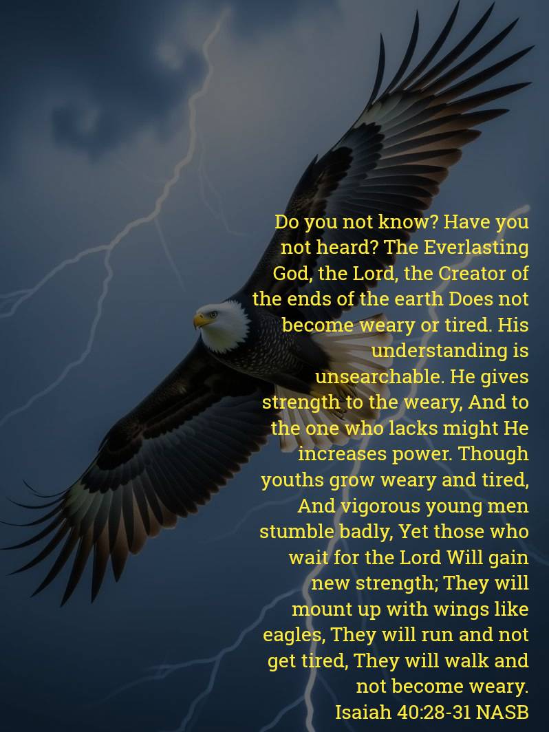 bradieb3's tweet image. HE powers the weak.
HE increases strength.
HE renews!
Glory be to God The Father and may His grace reign!
