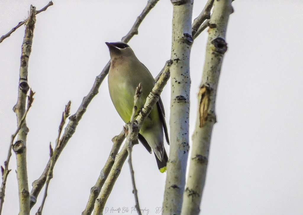 objetsdot's tweet image. We need more photography on X 
📸✨️
If you agree, post a picture!