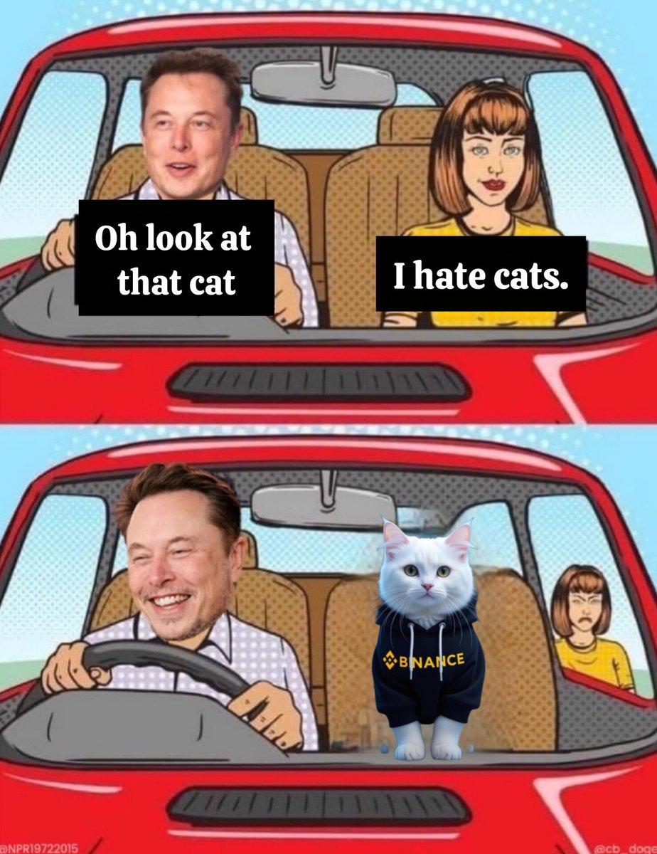 $WKC
#WikiCat
#wikicatcoin $Wiki