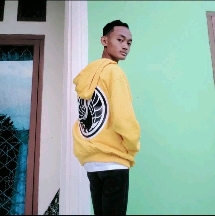 shmsull🦊 tweet media