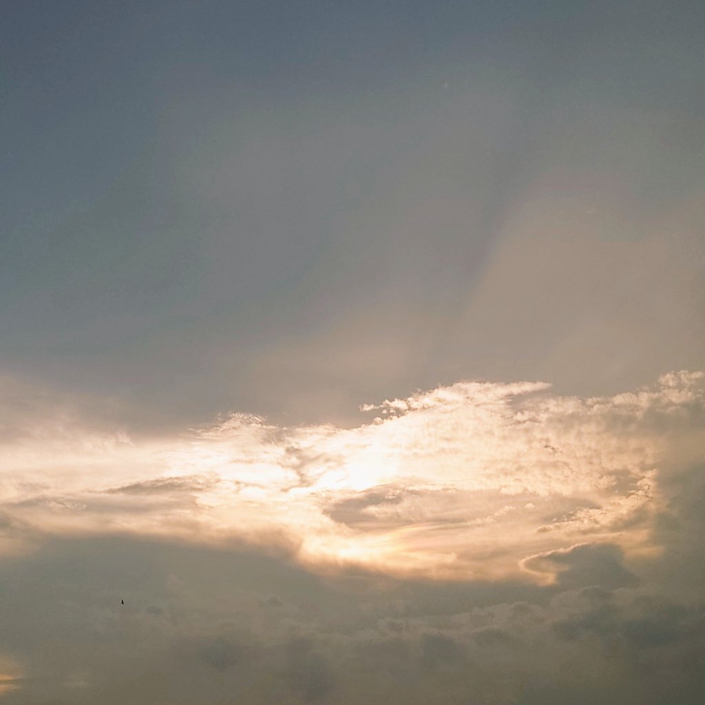 Hitoshi Misaka tweet media