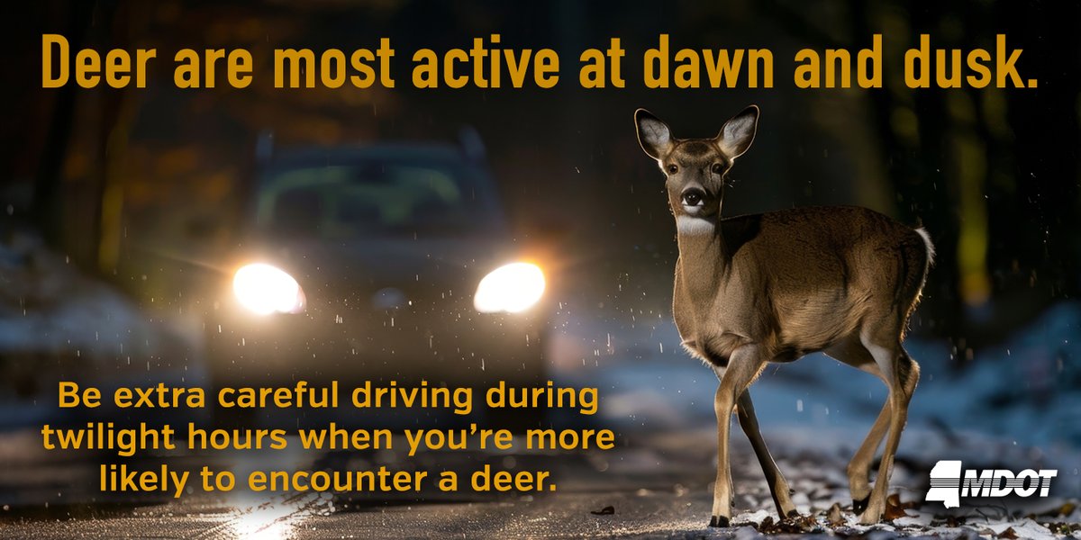 MississippiDOT's tweet image. Are you loving the crisp mornings now that it's finally getting a little cooler in MS? 🌬️🍃

Deer are too! Ditch distractions &amp;amp; keep your eyes peeled for these roadside regulars, especially when they're most active at dawn &amp;amp; dusk. Stay safe, y'all!

#DriveSmartMS