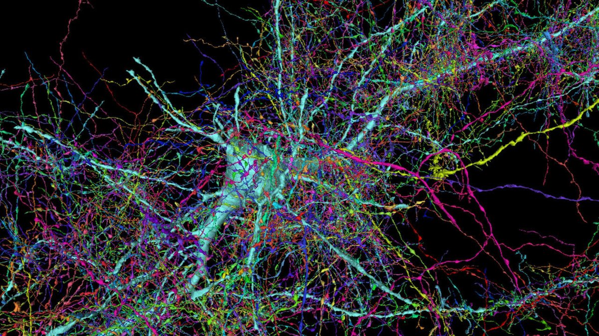 NTFabiano's tweet image. Life becomes easier when you realize you can just do stuff.

You are in control of rewiring your brain, not the other way around.

You create your own reality.