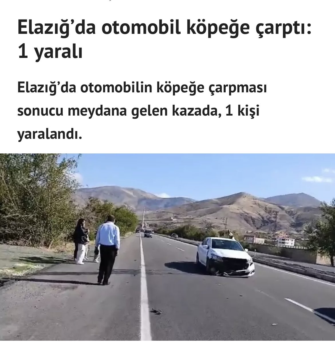 Bu gün de başıboş köpekler Elazığ’da kazaya yol açtı. Bu hızla ülkede ölmedik, kolu bacağı kırılmadık şoför neslinin tükenmesi ne zaman acaba? 

#yoldaköpekolmaz