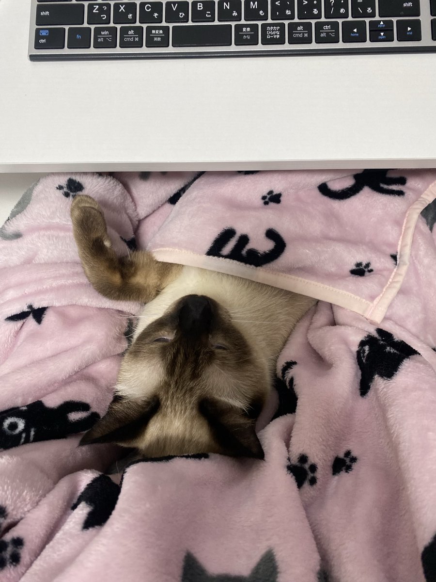 ぴーすけ25 (@sosuke0505) / Posts / X