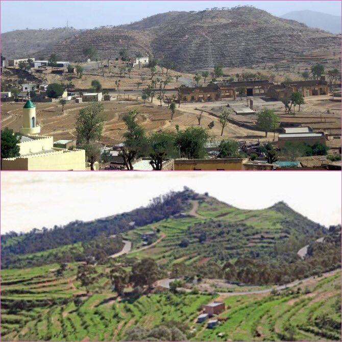 She'eb (Tigre: ሽዕብ) is a town in the Northern Red Sea region of Eritrea. It lies on the fertile plain at the foot of the eastern escarpment of the Eritrean Highlands. 
One eventful morning on Thursday May the 12th, 1988 the people of She’eb were made to suffer unbearable