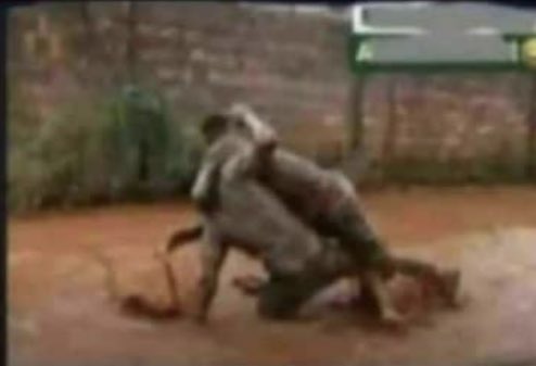 Natongo Glady's video has finally reached me🤣👇