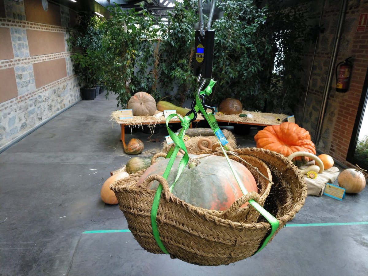 Madrid Free tweet media