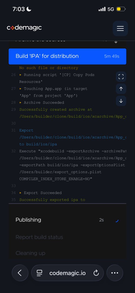 The first Despia V3.1 Build 🥲 - <a href="/codemagicio/">Codemagic</a>