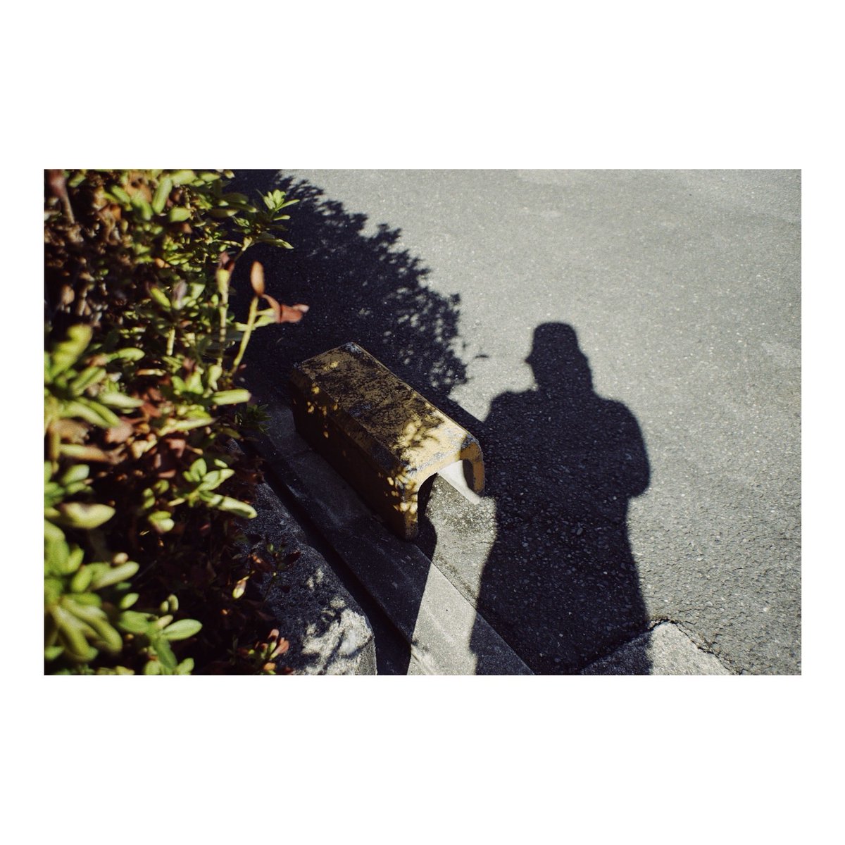 thousand1967's tweet image. #sony  #α7  #vsco #Snapshot