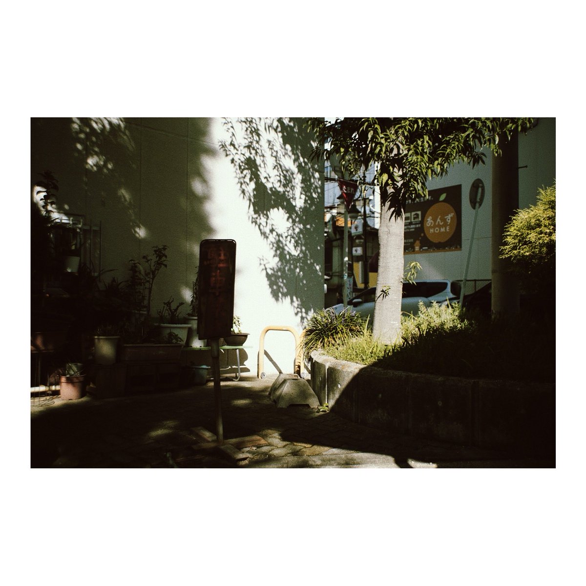 thousand1967's tweet image. #sony  #α7  #vsco #Snapshot