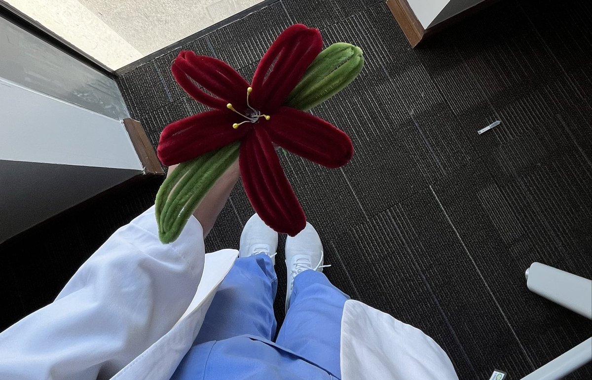 _a0a7's tweet image. آخر مد بالسمستر الاول من غير شر💙