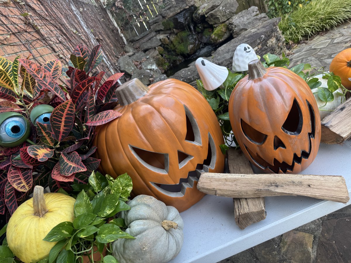 Halloween decorating with Chris H. Olsen on The Vine this sunny Thursday morning only on THV11.
