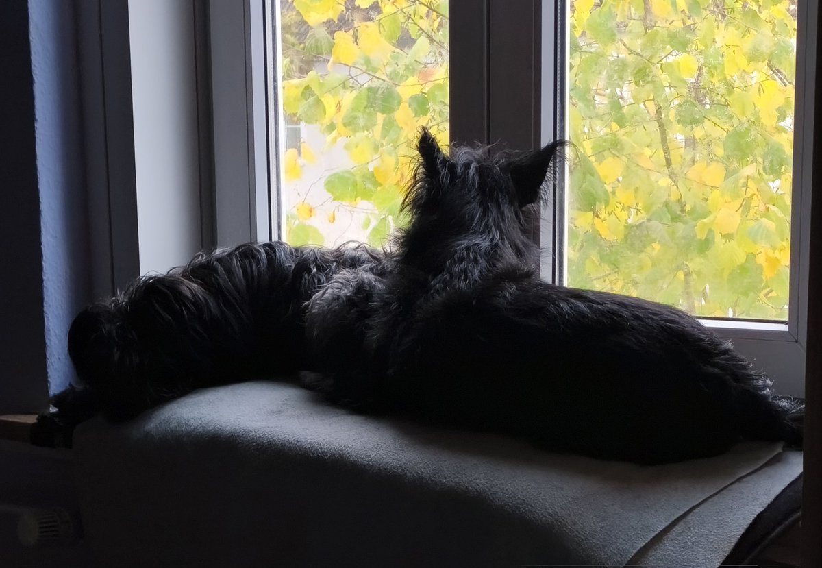 Wir bewachen die Straße!