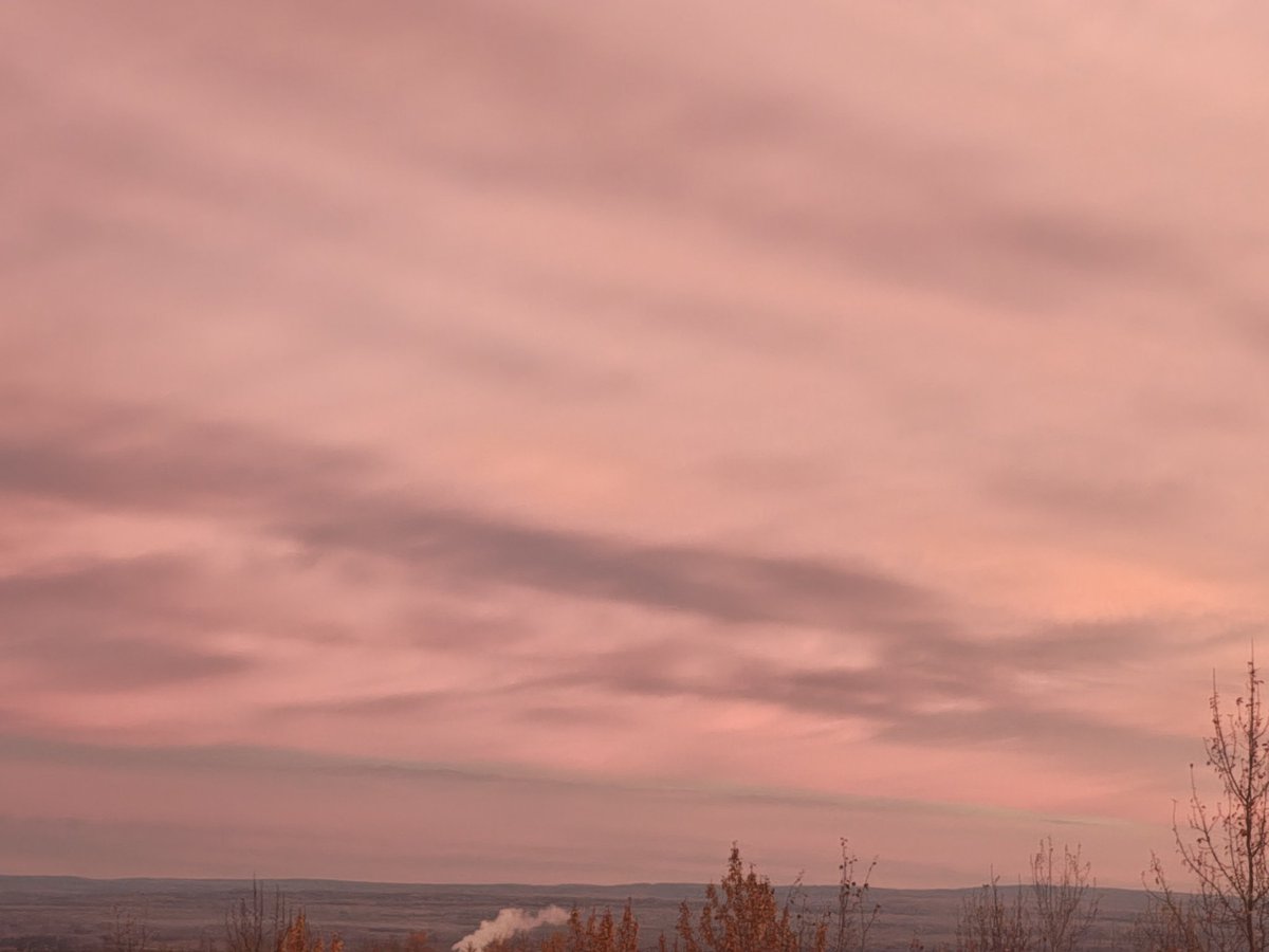 Sigurd the Mighty tweet media