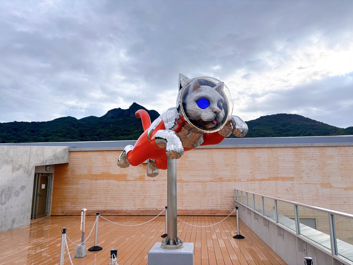 プカプカ猫 in sky プカプカ猫 in sky プカプカ猫 in sky sky blue