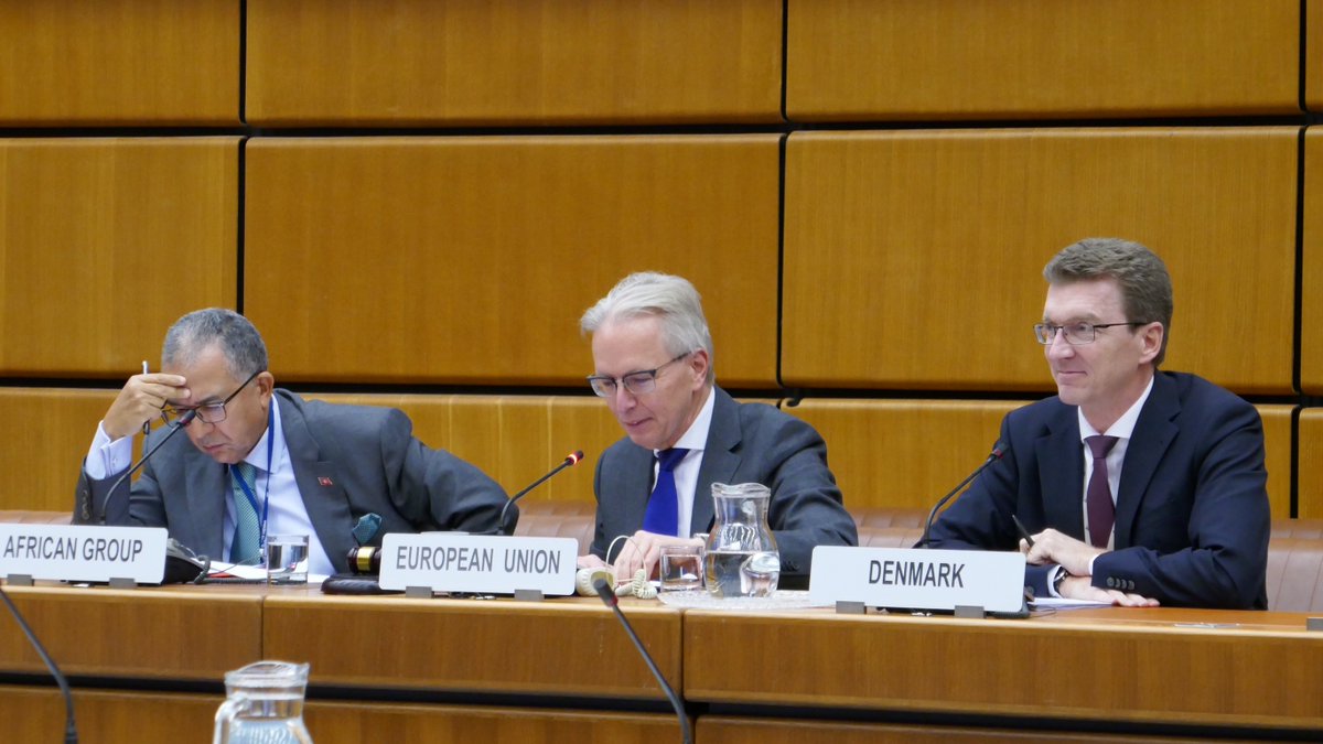 CHallergard's tweet photo. Delighted to co-chair an insightful meeting between the 🇪🇺 and the #AfricanGroup chaired by @AzzeddineFarha1. The EU-African partnership remains strong, in defence of multilateralism, the UN and especially the SDGs. https://t.co/EmBOc5VFTX