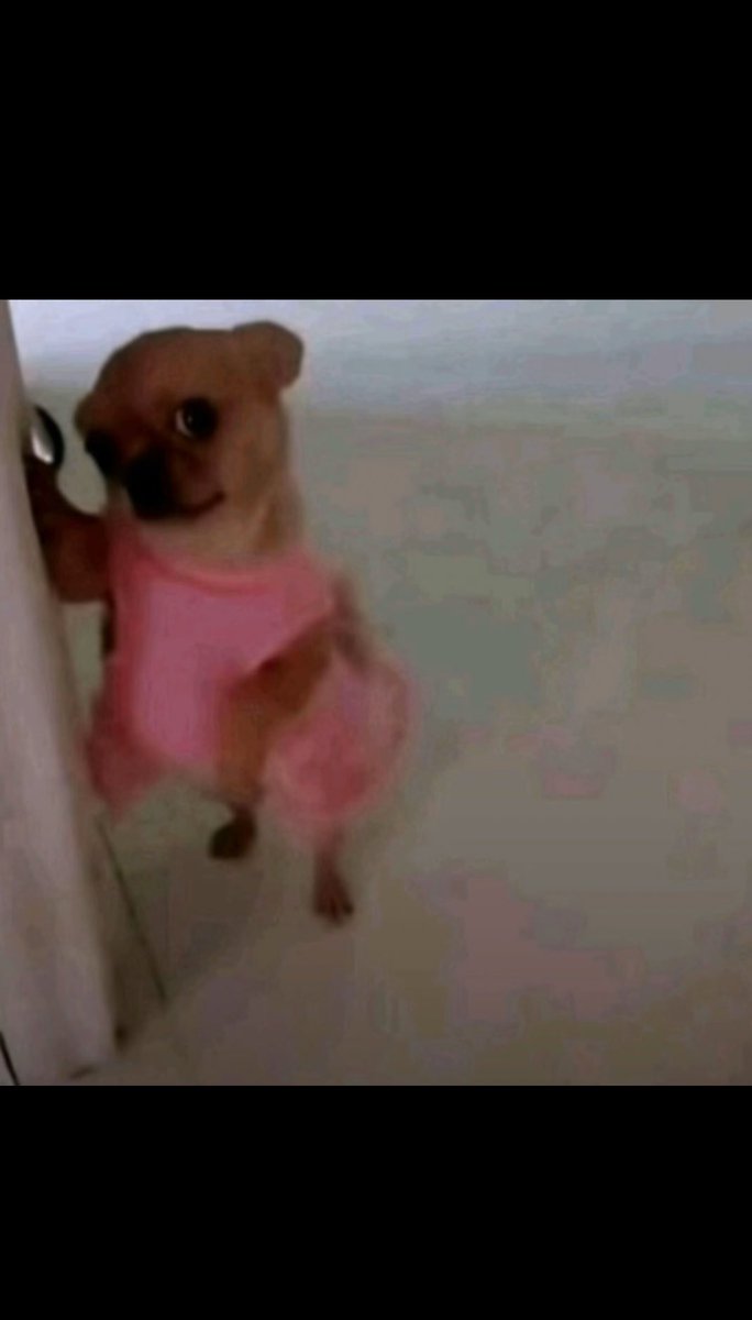 Ku’Tent tweet media